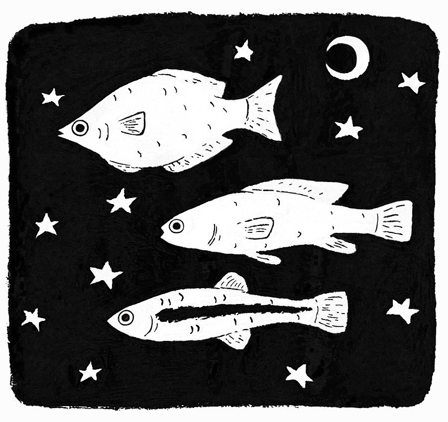 The original version of the site's homepage and header image: a stylized black-and-white drawing of 3 fish with several small white stars and a small white crescent moon scattered amongst them, inside a somewhat uneven black square that frames the fish and takes up almost the entire slightly off-white page. The fish are each different sizes and shapes; the top fish is more flat-bodied, the middle fish is longer and thinner, and the bottom fish is the thinnest with a thick black line running horizontally down its side.